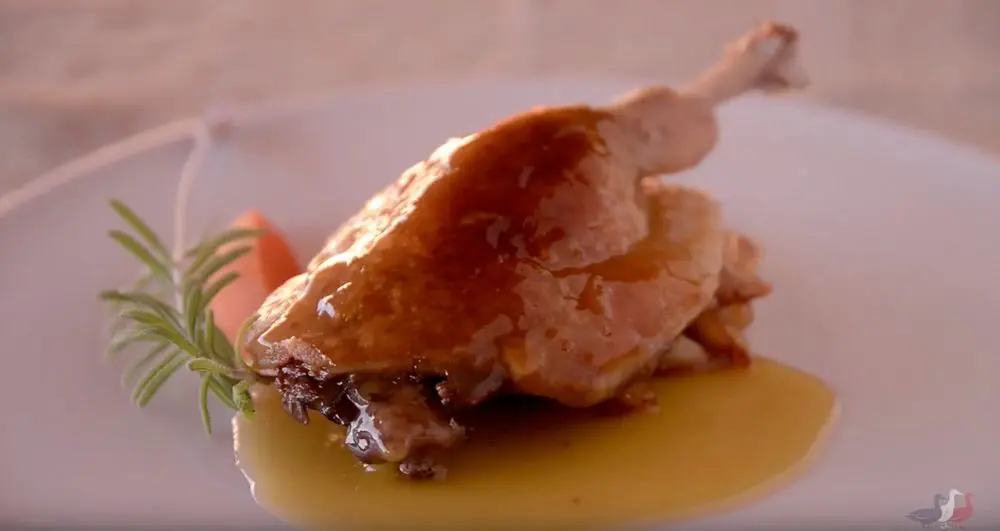 Descripción de la imagen 13